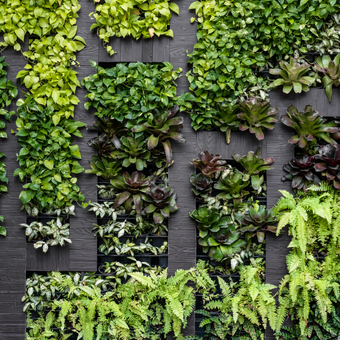 Vertical Garden  -  [Custom printed at R560/m²]