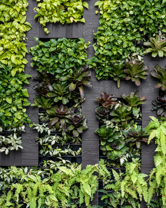 Vertical Garden  -  [Custom printed at R598/m²]