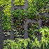 Vertical Garden  -  [Custom printed at R560/m²]