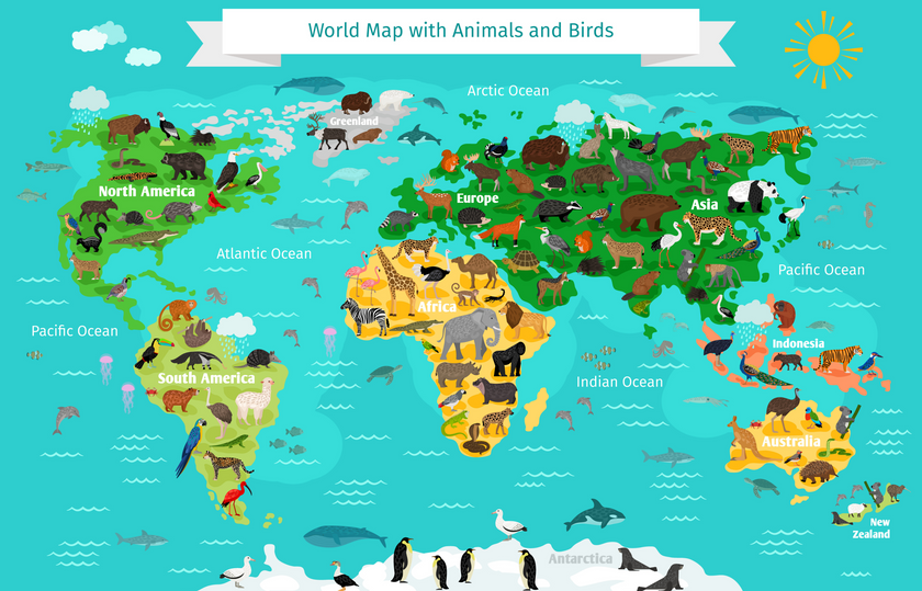 World Map with Animals and Birds  -  [Custom printed at R560/m²]