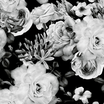Black and White Roses  -  [Custom printed at R560/m²]