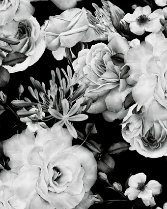 Black and White Roses  -  [Custom printed at R598/m²]