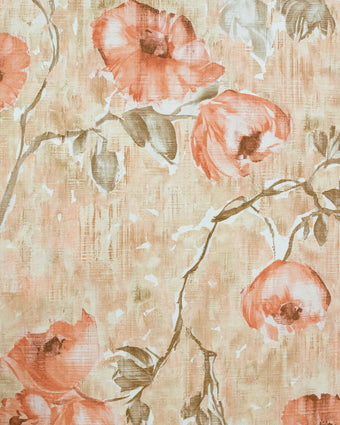 Petunia Aurora Red-Peach - 26915