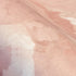 Peonies Plain Blush - 26912