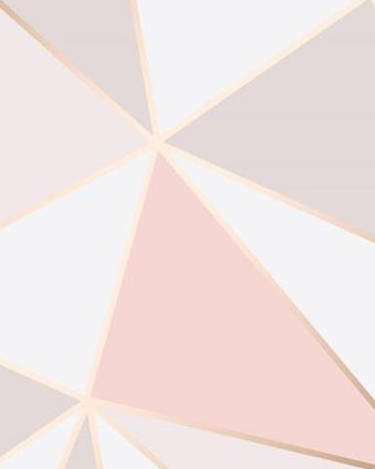 Apex Pink and Rosegold FD41993
