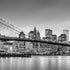 New York Bridge  -  [Custom printed at R598/m²]