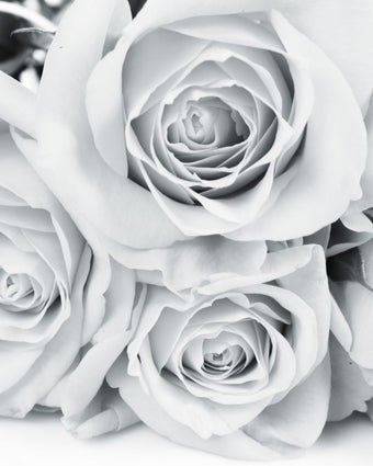 Monochrome Roses  -  [Custom printed at R598/m²]