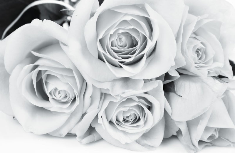 Monochrome Roses  -  [Custom printed at R560/m²]