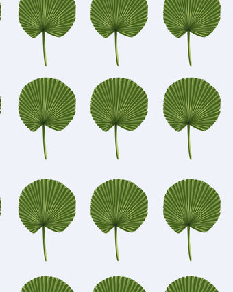 Put the Fans On!  Fan Palm Leaf  -  [Custom printed at R598/m²]