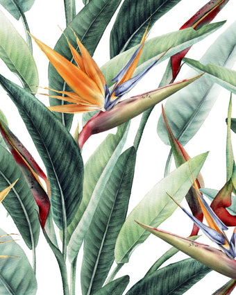 Stylish Strelitzias  -  [Custom printed at R598/m²]