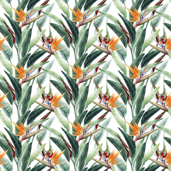 Stylish Strelitzias  -  [Custom printed at R560/m²]