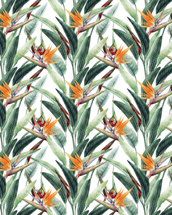 Stylish Strelitzias  -  [Custom printed at R598/m²]