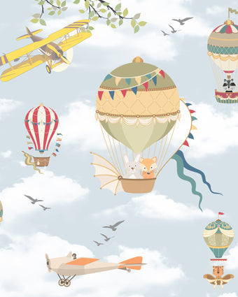 Your Hot air Balloon or Mine?  -  [Custom printed at R598/m²]