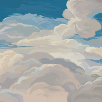 Cloudy Midday Skies  -  [Custom printed at R560/m²]