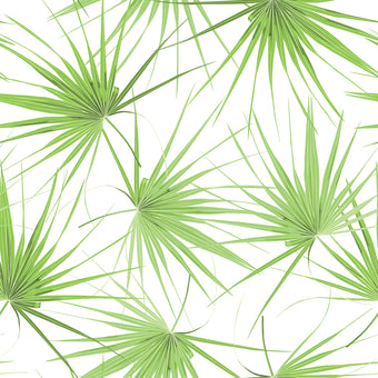 Happy Palm Leaf  -  [Custom printed at R560/m²]