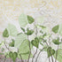 Green Peace  -  [Custom printed at R560/m²]