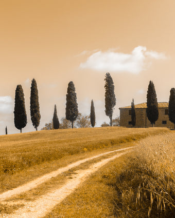 Tuscan Landscape  -  [Custom printed at R598/m²]