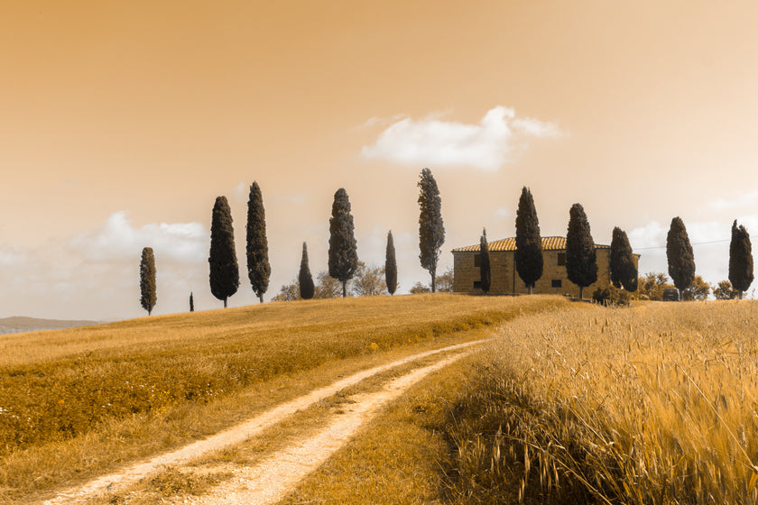 Tuscan Landscape  -  [Custom printed at R560/m²]