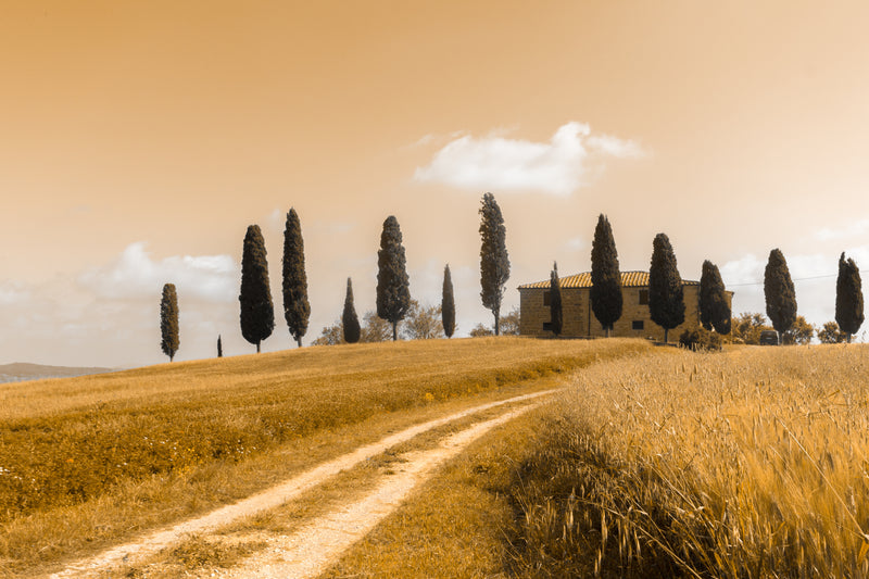 Tuscan Landscape  -  [Custom printed at R560/m²]