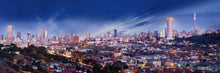 Load image into Gallery viewer, Joburg Skyline  -  [Custom printed at R560/m²]
