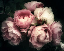 Load image into Gallery viewer, Pick a Peony  -  [Custom printed at R560/m²]
