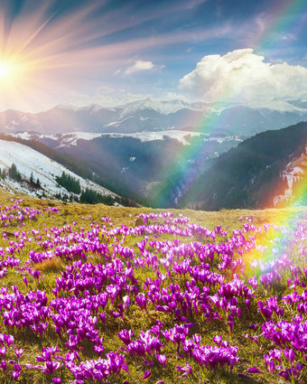 Spring Meadow  -  [Custom printed at R598/m²]