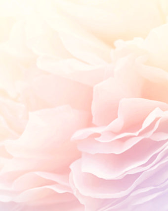 Romance  -  [Custom printed at R598/m²]