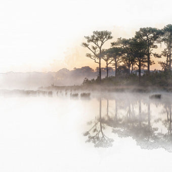 Watercolour Tree Lined Lake  -  [Custom printed at R560/m²]