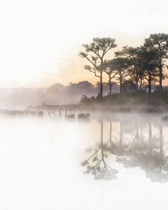 Watercolour Tree Lined Lake  -  [Custom printed at R598/m²]