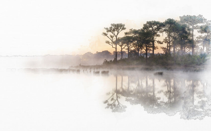 Watercolour Tree Lined Lake  -  [Custom printed at R560/m²]