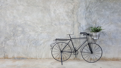 Bicycle in France  -  [Custom printed at R495/m²]
