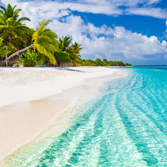 Blue Waters Tropical Beach  -  [Custom printed at R560/m²]