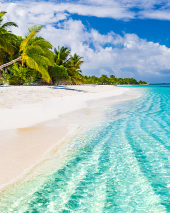 Blue Waters Tropical Beach  -  [Custom printed at R598/m²]