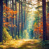 Autumn Forest Sunshine  -  [Custom printed at R560/m²]
