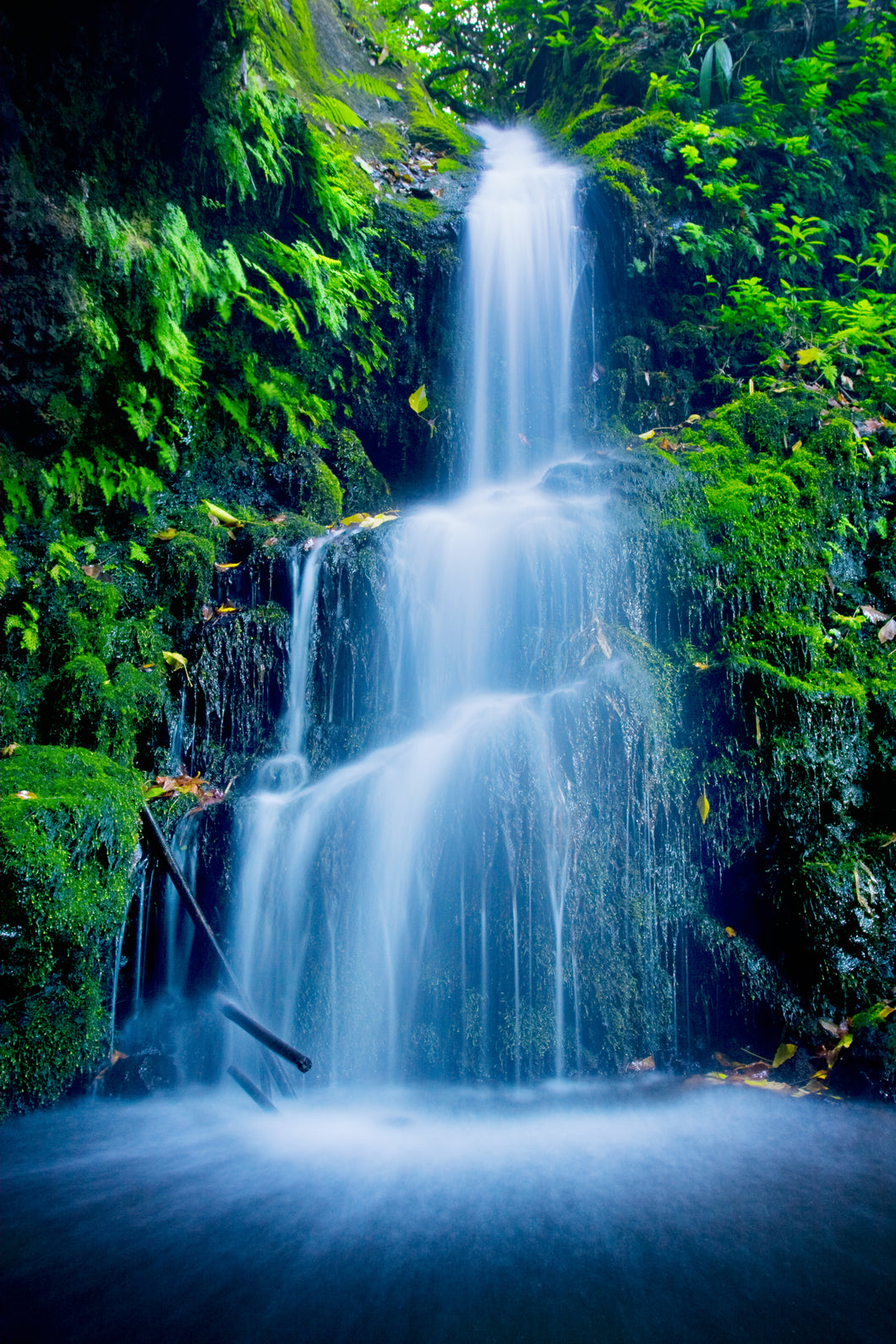 Mystical Waterfall Portrait  -  [Custom printed at R560/m²]