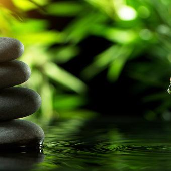 Wellness  -  [Custom printed at R560/m²]